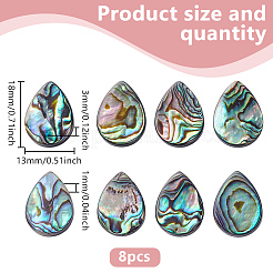 8Pcs Natural Abalone Shell/Paua Shell Beads&nbsp;SHEL-HY0001-18