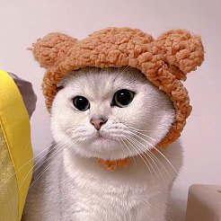 2Pcs 2 Styles Cute Cotton Warm Rabbit & Bear Hat&nbsp;AJEW-GL0002-57