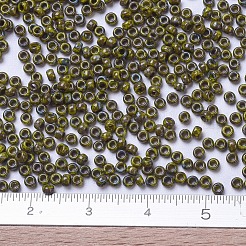 MIYUKI Round Rocailles Beads&nbsp;SEED-G007-RR4519