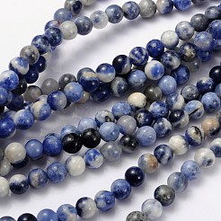 Natural Sodalite Beads Strands&nbsp;G-S279-10-6mm