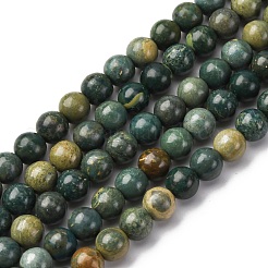 Natural Shoushan Jade Beads Strands&nbsp;G-L624-A01-6mm