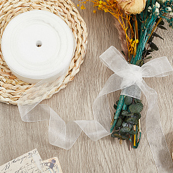 1 Rolls Sheer Organza Ribbon&nbsp;SRIB-CY0001-22A-03