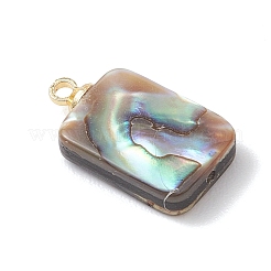 Natural Abalone Shell/Paua Shell Pendants&nbsp;PALLOY-JF04876