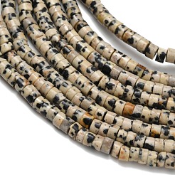 Natural Dalmatian Jasper Beads Strands&nbsp;G-Z110-A14-2x4mm