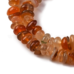 Dyed Natural Carnelian Chip Beads Strands&nbsp;G-E271-105