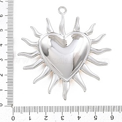 304 Stainless Steel Big Pendants&nbsp;STAS-G398-16GP