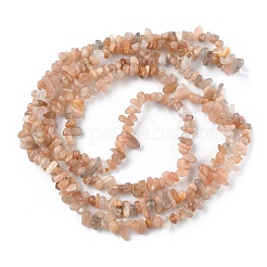 Natural Sunstone Beads Strands&nbsp;G-G0003-B11