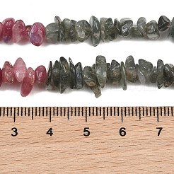 Natural Multicolor Tourmaline Chip Bead Strands&nbsp;G-M298-15A