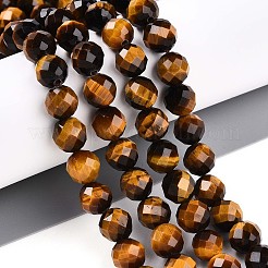 Natural Tiger Eye Beads Strands&nbsp;G-S345-8mm-22