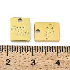 Ion Plating(IP) 316L Surgical Stainless Steel Charms&nbsp;STAS-D029-32G