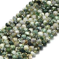 Natural Tree Agate Beads Strands&nbsp;G-P573-A17-01