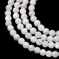 Natural Freshwater Shell Beads Strands&nbsp;SH-CBA2978-07D-01