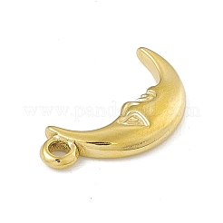 304 Stainless Steel Pendants&nbsp;X-STAS-P316-19G