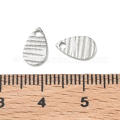 304 Stainless Steel Charms&nbsp;STAS-G393-05P-03