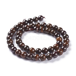 Natural Australian Boulder Opal Beads Strands&nbsp;G-A025-A01-8mm