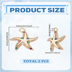 2Pcs Brass Micro Pave Cubic Zirconia Charms&nbsp;KK-LP0002-13