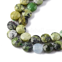 Natural Serpentine Beads Strands&nbsp;G-C179-A48-03