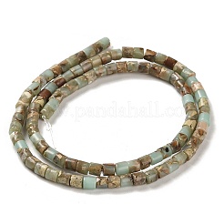 Natural Aqua Terra Jasper Beads Strands&nbsp;G-F765-F03-01