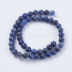 Natural Sodalite Beads Strands&nbsp;X-G-G448-8mm-25