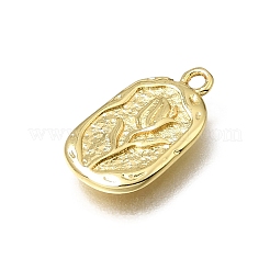 Brass Charms&nbsp;KK-K427-31G
