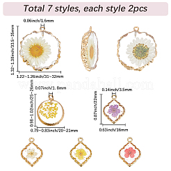 14Pcs 7 Styles Resin Pendants&nbsp;RESI-SC0006-84