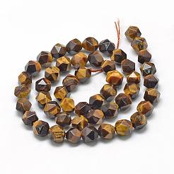 Natural Tiger Eye Beads Strands&nbsp;G-R448-8mm-04