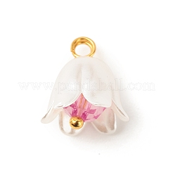 Spray Painted ABS Plastic Imitation Pearl Charms&nbsp;PALLOY-JF01603-04