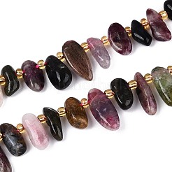 Natural Multicolor Tourmaline Beads Strands&nbsp;G-Z091-A45