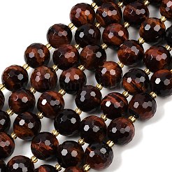 Natural Tiger Eye Beads Strands&nbsp;G-C249-A21-16mm