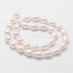 Rainbow Plated Shell Pearl Beads Strands&nbsp;BSHE-L027-01-6x9