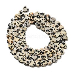 Natural Dalmatian Jasper Beads Strands&nbsp;G-A272-A01-32
