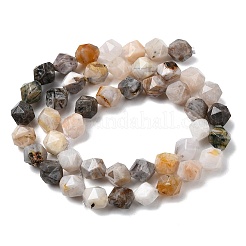 Natural Bamboo Leaf Agate Beads Strands&nbsp;G-Z119-A27-02