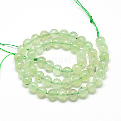 Natural Prehnite Beads Strands&nbsp;G-S263-6mm-04