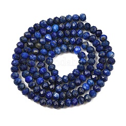 Dyed Natural Lapis Lazuli Beads Strands&nbsp;G-K376-B05-02