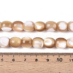 Natural Trochid Shell/Trochus Shell Beads Strands&nbsp;SSHEL-N040-14