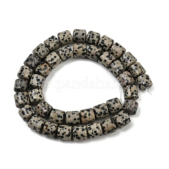 Natural Dalmatian Jasper Beads Strands&nbsp;G-G275-D18-10x10mm