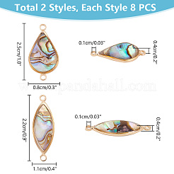 16Pcs 2 Styles Paua Shell Connector Charms&nbsp;KK-PH0010-02