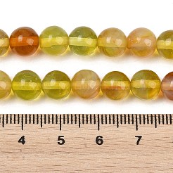 Handmade Lampwork Beads Strand&nbsp;LAMP-B056-8mm