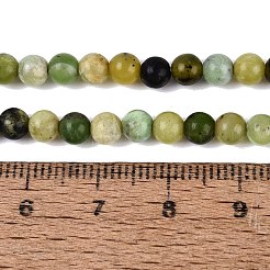 Natural Serpentine Beads Strands&nbsp;G-Q616-07A