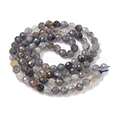 Natural Iolite Beads Strands&nbsp;G-G188-B04-06A