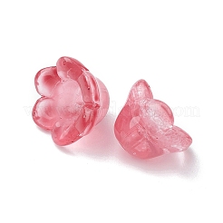 Transparent Glass Beads&nbsp;LAMP-FS0001-09E