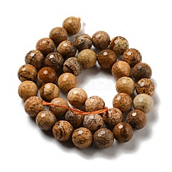 Natural Picture Jasper Beads Strands&nbsp;G-E571-39