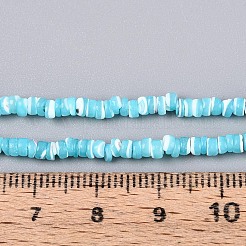 Natural Trochid Shell/Trochus Shell Beads Strands&nbsp;SSHEL-N040-21B