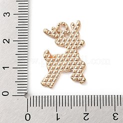 Alloy Enamel Pendants&nbsp;ENAM-B030-02G-11