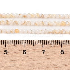 Natural Freshwater Shell Beads Strands&nbsp;X-SHEL-T011-02-4mm