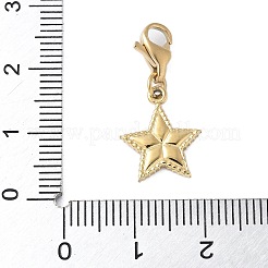 304 Stainless Steel Star Pendant Decoration&nbsp;STAS-S165-08G