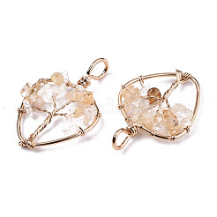 Natural Citrine Pendants&nbsp;G-T131-97