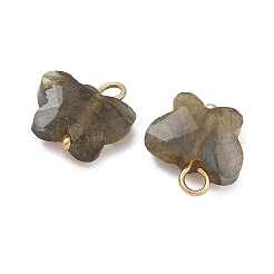 Natural Labradorite Pendants&nbsp;KK-D289-61G-05