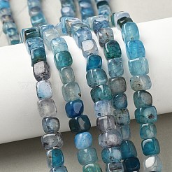 Natural Dragon Veins Agate Beads Strands&nbsp;G-G177-E17-01