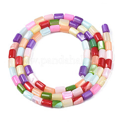 Natural Trochid  Shell Beads Strands&nbsp;SHEL-S278-069